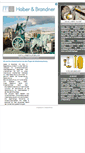 Mobile Screenshot of haber-brandner.de